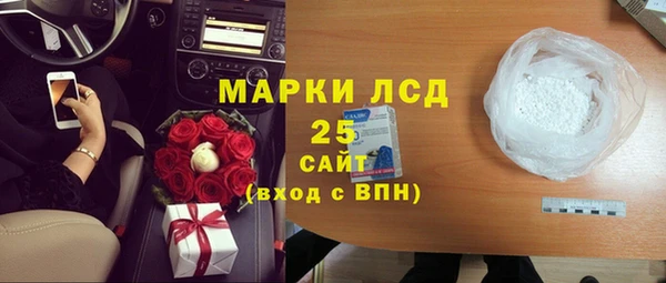 шишки Каменка