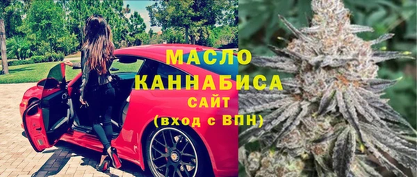 spice Инта
