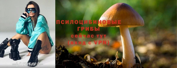spice Инта