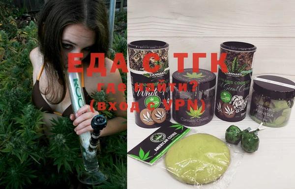 spice Инта