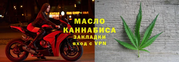 шишки Каменка